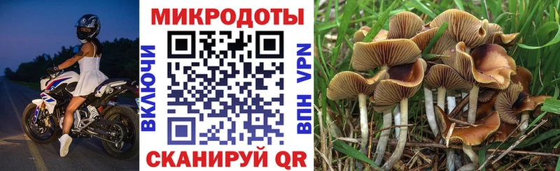 Купить Дмитровск Галлюциногенные грибы прущие грибы
